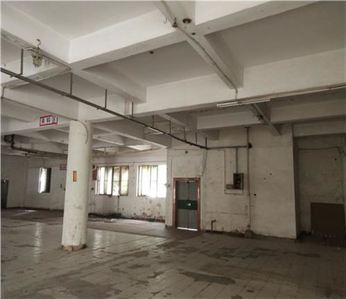 日照市厂房验厂安全检测鉴定收费标准解析及建筑材料安全新规引关注